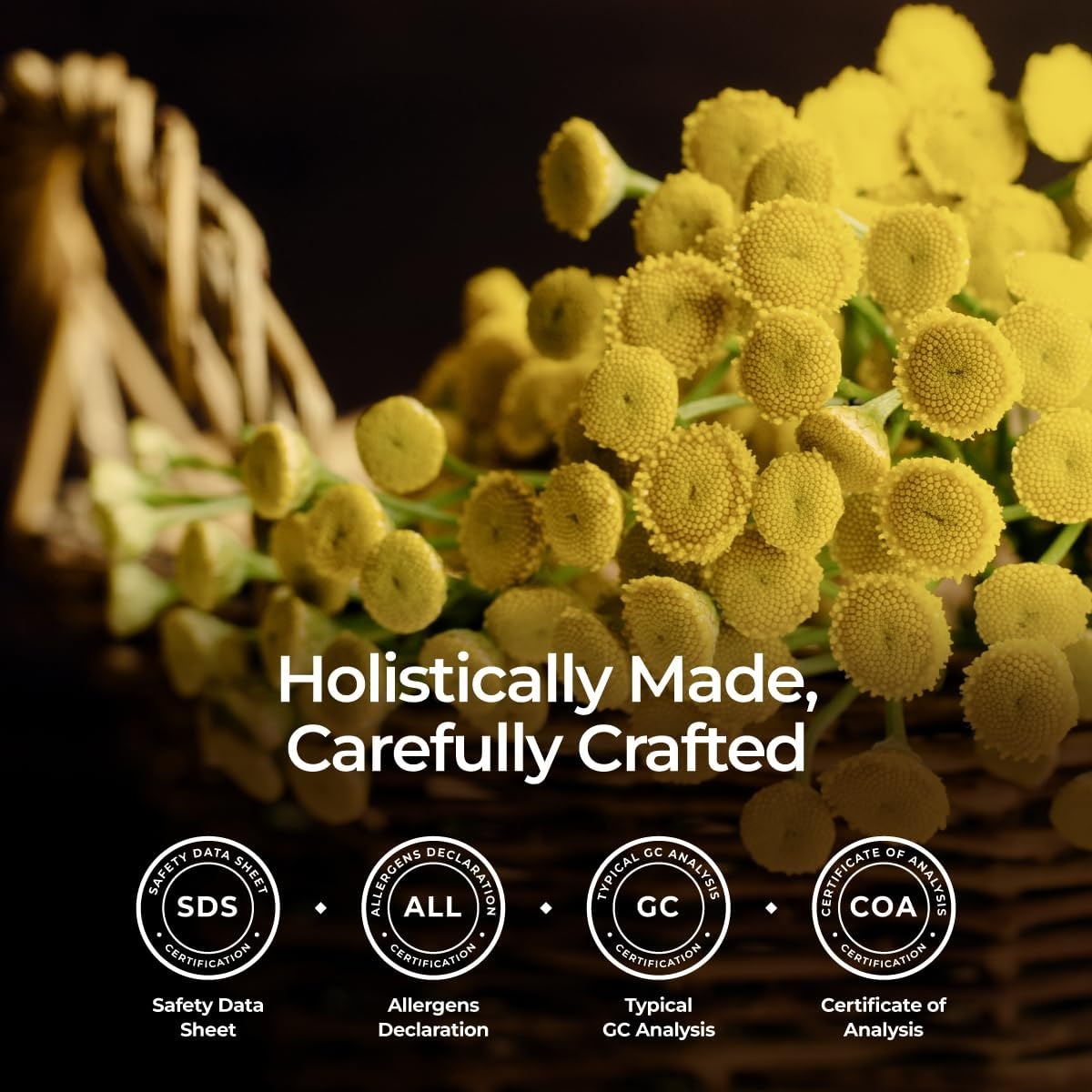 image:image100 Pure Lemon Essential Oil for Skin amp Diffuser 034 Fl OzBlue Tansy