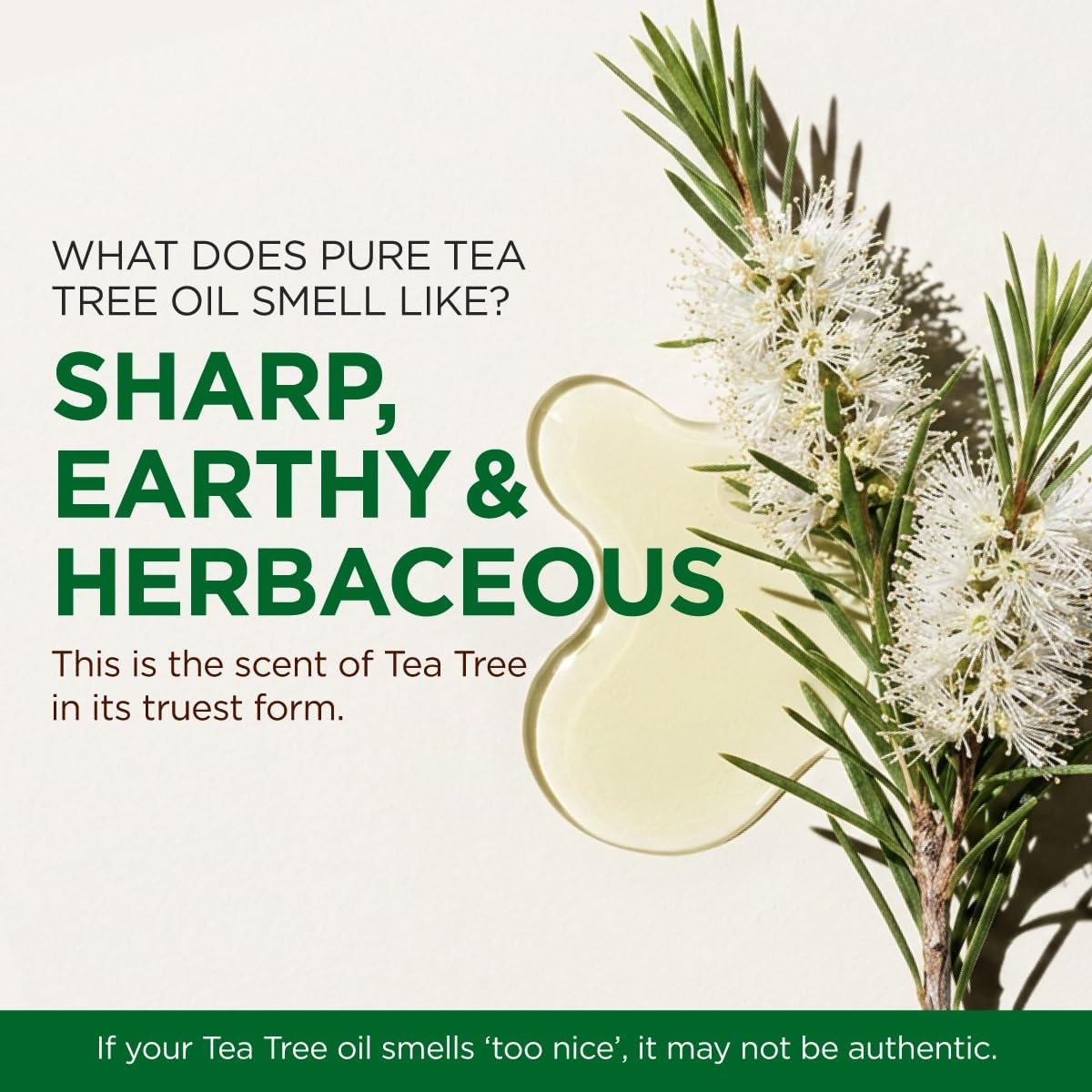 image:image100 Pure Lemon Essential Oil for Skin amp Diffuser 034 Fl OzTea Tree