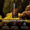 100% Pure Lemon Essential Oil for Skin & Diffuser – 0.34 Fl Oz(Angelica)