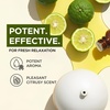 100% Pure Lemon Essential Oil for Skin & Diffuser – 0.34 Fl Oz(Bergamot)