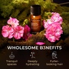 100% Pure Lemon Essential Oil for Skin & Diffuser – 0.34 Fl Oz(Egyptian Geranium)