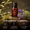 100% Pure Lemon Essential Oil for Skin & Diffuser – 0.34 Fl Oz(Hyssop)