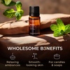 100% Pure Lemon Essential Oil for Skin & Diffuser – 0.34 Fl Oz(Melissa)