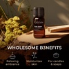 100% Pure Lemon Essential Oil for Skin & Diffuser – 0.34 Fl Oz(Palo Santo)