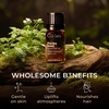 100% Pure Lemon Essential Oil for Skin & Diffuser – 0.34 Fl Oz(Parsley)