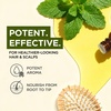 100% Pure Lemon Essential Oil for Skin & Diffuser – 0.34 Fl Oz(Peppermint)