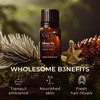 100% Pure Lemon Essential Oil for Skin & Diffuser – 0.34 Fl Oz(Silver Fir)