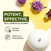 100% Pure Lemon Essential Oil for Skin & Diffuser – 0.34 Fl Oz(Spikenard)