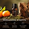 100% Pure Lemon Essential Oil for Skin & Diffuser – 0.34 Fl Oz(Tangerine)