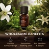 100% Pure Lemon Essential Oil for Skin & Diffuser – 0.34 Fl Oz(Vanilla Oleoresin)