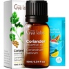 Coriander