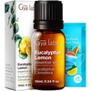 Eucalyptus Lemon