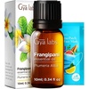 Frangipani