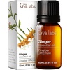Ginger