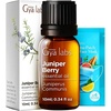 Juniper Berry