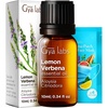 Lemon Verbena
