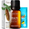 Silver Fir