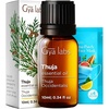 Thuja