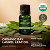 Pure Organic Lavender Essential Oil 0.34 Fl Oz – for Skin and Hair(Bay Leaf)