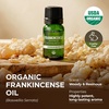 Pure Organic Lavender Essential Oil 0.34 Fl Oz – for Skin and Hair(Frankincense)
