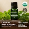 Pure Organic Lavender Essential Oil 0.34 Fl Oz – for Skin and Hair(Patchouli)