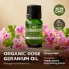 Pure Organic Lavender Essential Oil 0.34 Fl Oz – for Skin and Hair(Rose Geranium)