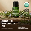 Pure Organic Lavender Essential Oil 0.34 Fl Oz – for Skin and Hair(Rosemary)