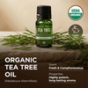 Pure Organic Lavender Essential Oil 0.34 Fl Oz – for Skin and Hair(Tea Tree)