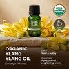 Pure Organic Lavender Essential Oil 0.34 Fl Oz – for Skin and Hair(Ylang Ylang)