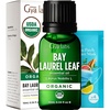 Pure Organic Lavender Essential Oil 0.34 Fl Oz – for Skin and Hair(Bay Leaf)