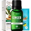 Pure Organic Lavender Essential Oil 0.34 Fl Oz – for Skin and Hair(Ginger)