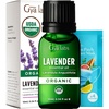 Pure Organic Lavender Essential Oil 0.34 Fl Oz – for Skin and Hair(Organic Lavender)