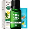 Pure Organic Lavender Essential Oil 0.34 Fl Oz – for Skin and Hair(Ylang Ylang)
