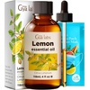 Lemon Essential Oil for Diffuser & Lavender Essential Oil for Diffuser Set – Aromatherapy Grade Essential Oils Set – 2×4 fl oz – Gya Labs
