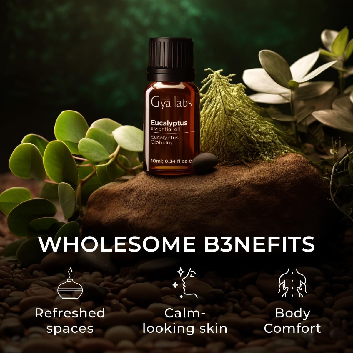image:imageLemongrass Essential Oil amp Eucalyptus Essential Oil for Diffuser Set Aromatherapy Grade Essential Oils Set 2x10ml Gya Labs
