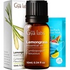 Lemongrass Essential Oil for Diffuser & Peppermint Oil for Hair Set – Aromatherapy Grade Essential Oils Set – 2x10ml – Gya Labs