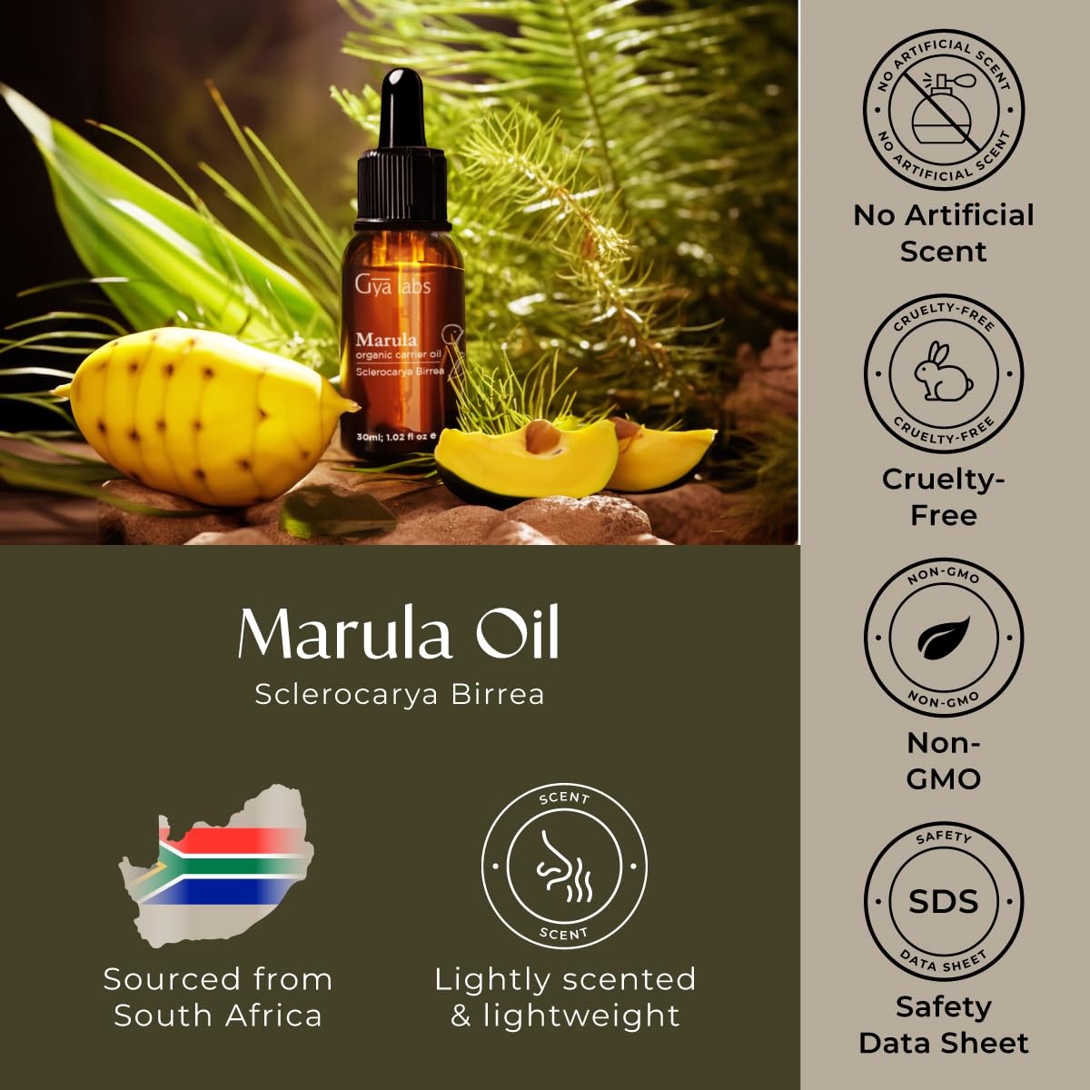 image:imagePrickly Pear Seed Oil 1 Fl Oz Carrier Oil for Hair Skin Face amp ScalpMarula