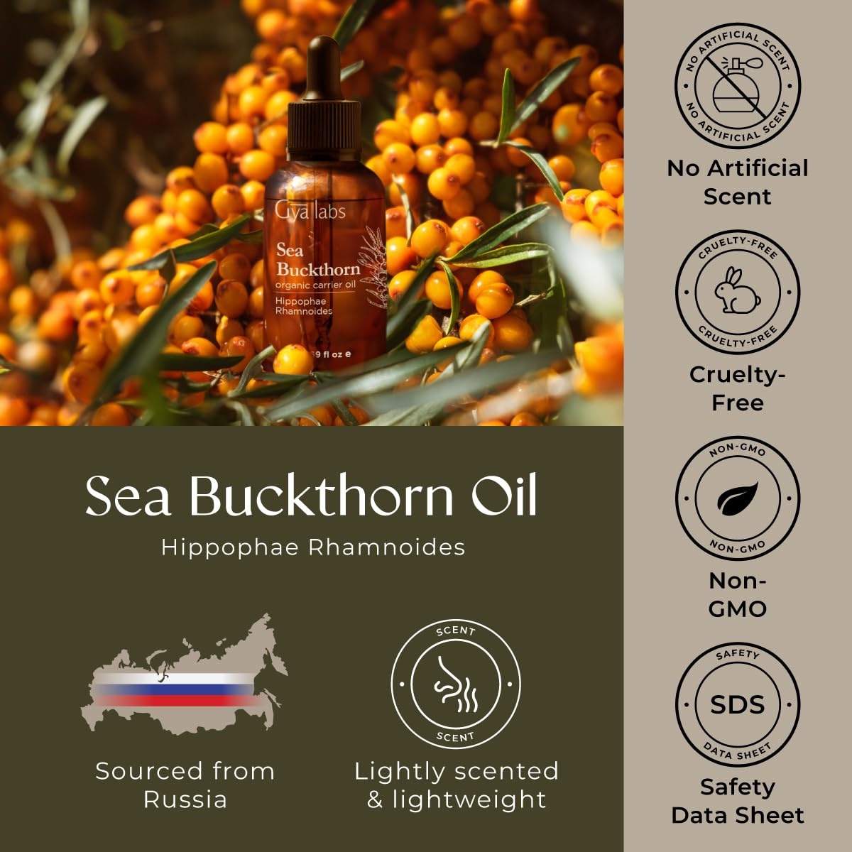 image:imagePrickly Pear Seed Oil 1 Fl Oz Carrier Oil for Hair Skin Face amp ScalpSea Buckthorn