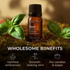 100% Pure Agarwood Essential Oil for Skin & Diffuser – 0.34 Fl Oz(Basil)