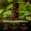 100% Pure Agarwood Essential Oil for Skin & Diffuser – 0.34 Fl Oz(Cilantro)