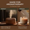 100% Pure Agarwood Essential Oil for Skin & Diffuser – 0.34 Fl Oz(Clary Sage)