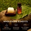 100% Pure Agarwood Essential Oil for Skin & Diffuser – 0.34 Fl Oz(Elemi)