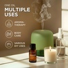 100% Pure Agarwood Essential Oil for Skin & Diffuser – 0.34 Fl Oz(Eucalyptus)