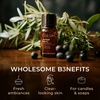 100% Pure Agarwood Essential Oil for Skin & Diffuser – 0.34 Fl Oz(Juniper Berry)