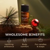 100% Pure Agarwood Essential Oil for Skin & Diffuser – 0.34 Fl Oz(Pine Needle)