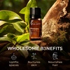 100% Pure Agarwood Essential Oil for Skin & Diffuser – 0.34 Fl Oz(Ravensara)