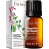 Juniper Berry Essential Oil for Diffuser & Egyptian Geranium Essential Oil for Skin Set – Aromatherapy Grade Essential Oils Set – 2×0.34 fl oz – Gya Labs