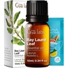 100% Pure Agarwood Essential Oil for Skin & Diffuser – 0.34 Fl Oz(Bay Leaf)