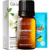 100% Pure Agarwood Essential Oil for Skin & Diffuser – 0.34 Fl Oz(Gardenia)