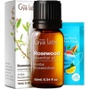 100% Pure Agarwood Essential Oil for Skin & Diffuser – 0.34 Fl Oz(Rosewood)